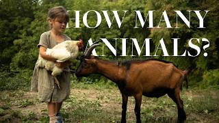 Our First Year Of Homesteading In Rural Italy: The Animals We Chose