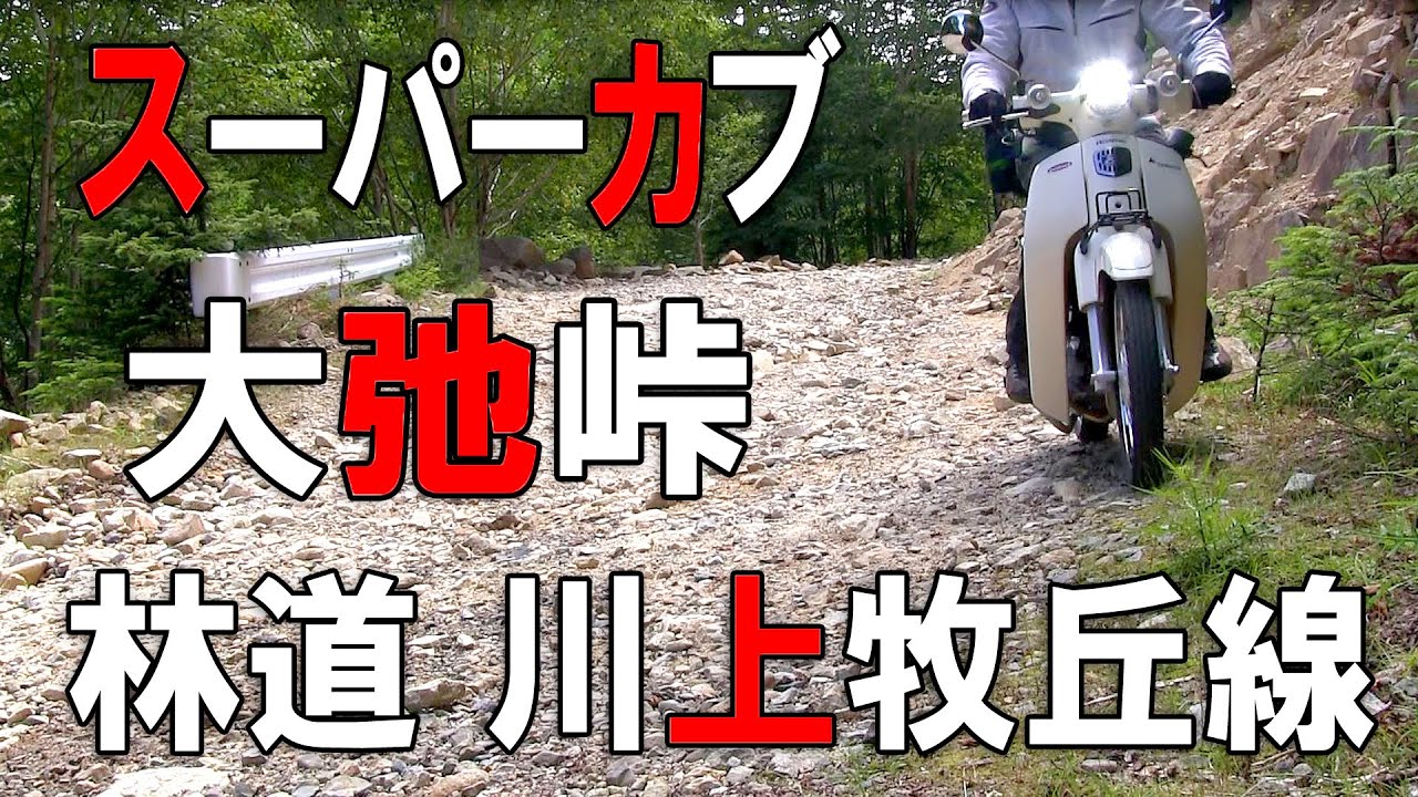 スーパーカブで【林道 川上牧丘線】を走破してきました。