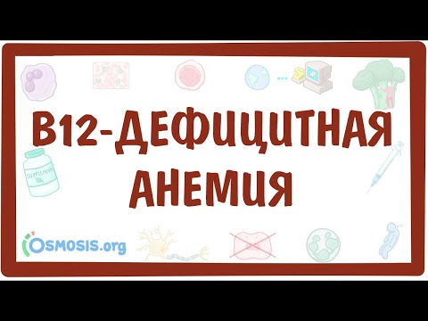 Видео: Мегалобластная анемия: причины, симптомы и диагностика