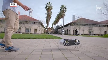 Da Stanford arriva Doggo, il cane robot che fa i salti mortali