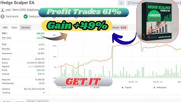 Hedge Scalper EA V24.2 (MT4) | Strategy Review for Major Forex Pairs (2024)
