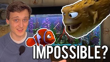 Is Nemo’s Fish Tank Even Possible?