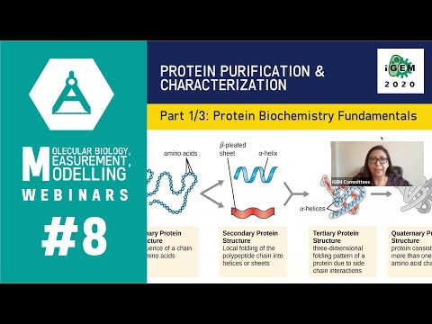 Week #8: Protein Purification and Characterization 1/3: Protein Biochemistry Fundamentals