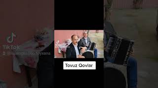 Qovlar toyu