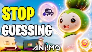 The BEST Setup for EVERY RV Level in Aniimo (Homeland Guide)