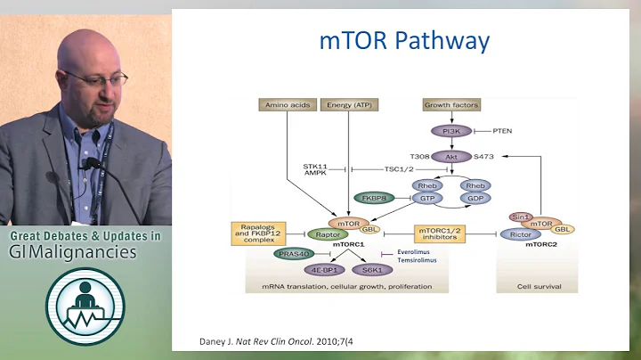 Updates in the management of neuroendocrine cancers
