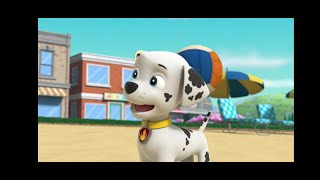 PAW Patrol: Marshall's Pup Volleyball Wipeout.