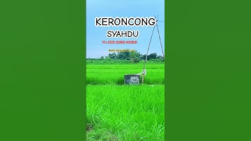 Keroncong syahdu yt JAWA MUSIC GAYENG #keroncong  #keroncongindonesia