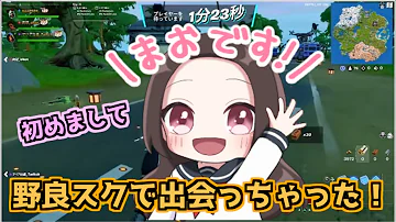 フォートナイト 野良