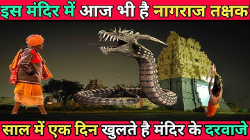 यहां रहते हैं तक्षक नाग। Ujjain के नागचंद्रेश्वर मंदिर का रहस्य। साल में खुलता है सिर्फ एक दिन।