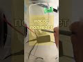БОЛЬШЕ НЕ НУЖНО просить соседей полить цветы #дом #растения #цветы