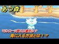あつまれどうぶつの森　海に入る方法とは！？マリンスーツ買える場所は？【あつ森】