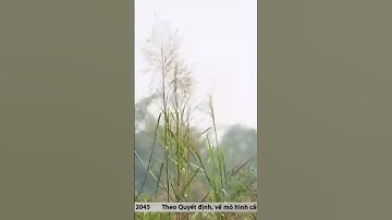 Phải để người có đất bị thu hồi tham gia định giá đất, tính tiền bồi thường