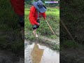 Dig water diversion openings on field ridges with hoes to guide canal water into dry farmland