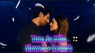 Tum Jo Milo Song Slowed + Reverb | arijit singh songs | kartik aryan new song | freddy movie song Thumb