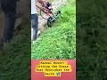 Manual Mower: Cutting the Grass That Nourishes the Earth #shorts