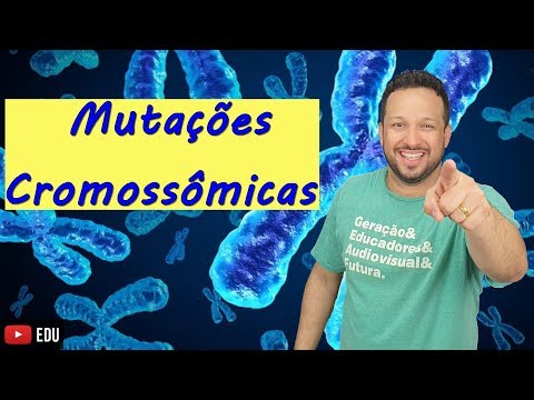 Vídeo: Quais são os tipos de mutações cromossômicas?