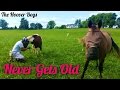 Metal Detecting Early US Silver Coins Relics & Fun | Never Gets Old