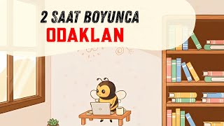 2 Saat Boyunca Odaklan- Dikkat Dağıtmayan Soft Melodiler 🐝 YKS, LGS, KPSS, Vize & Kitap Okuma Müziği screenshot 1