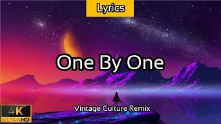 One By One - (LYRICS) [Vintage Culture Remix] - 2021 - 4K