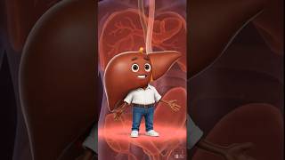 LFT Report Decoding: ALT, AST, Bilirubin Explained! 🧬 #MedAnimated #liverhealth #shorts #hindi #lft