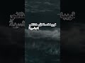 السفينة وسر تحريم الخنزير اكسبلور لايك