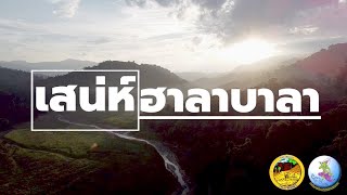 เสน่ห์ ป่าฮาลา-บาลา