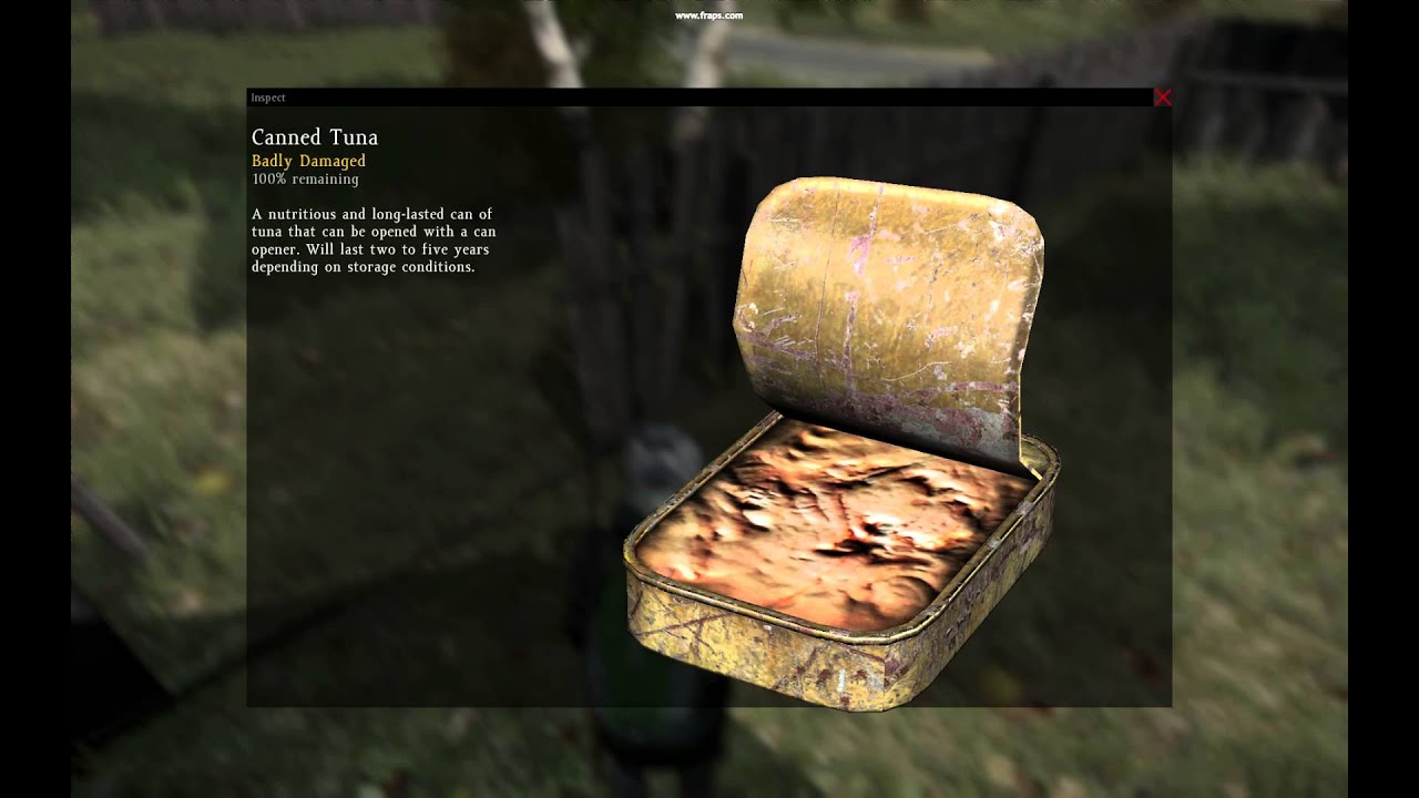 DayZ Canned Tuna (Badly Damaged) Opened YouTube