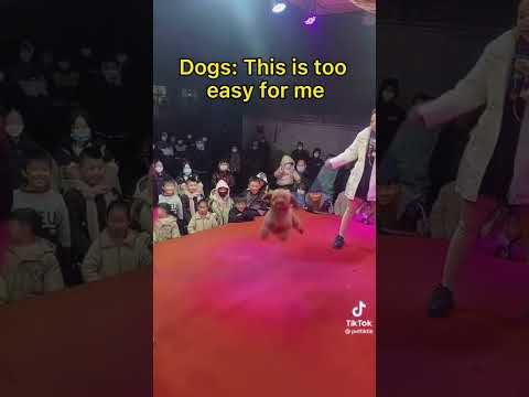 Funniest thing you’ll see today 😆 the last one though…