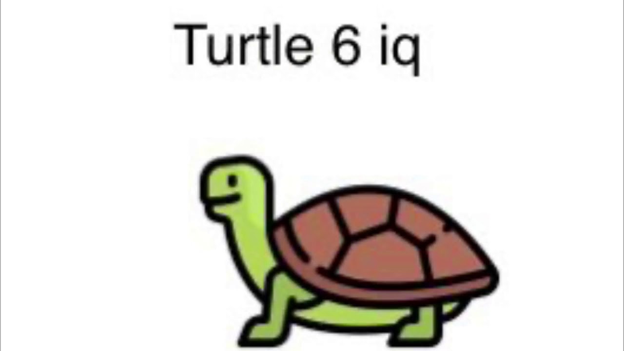 T turtle. Логомиры черепашка. Черепаха рисунок. Черепашка рисунок. Черепаха мультяшная.