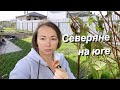 #влог Будни станичные / Переезд на юг / Life in Russia