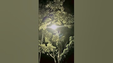 Nada dering - Huwa AlQur