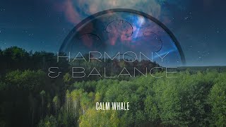 RAV Relaxing Journey - Harmony &amp; Balance | Fall 2020 🌳 Calming Energy Meditation