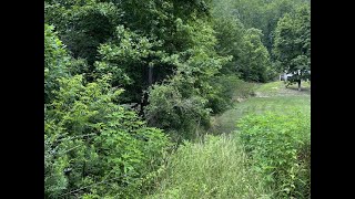 Henry Town Rd