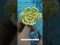 FLOR A CROCHET para PRINCIPIANTES #crochet #tejedoras #hechoamano