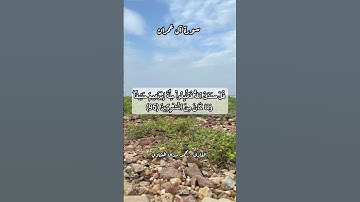 سورة آل عمران ٩٥#قرآن #قرآن_كريم #قران #قران_كريم #قرأن #quran