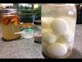 How to Ferment Eggs