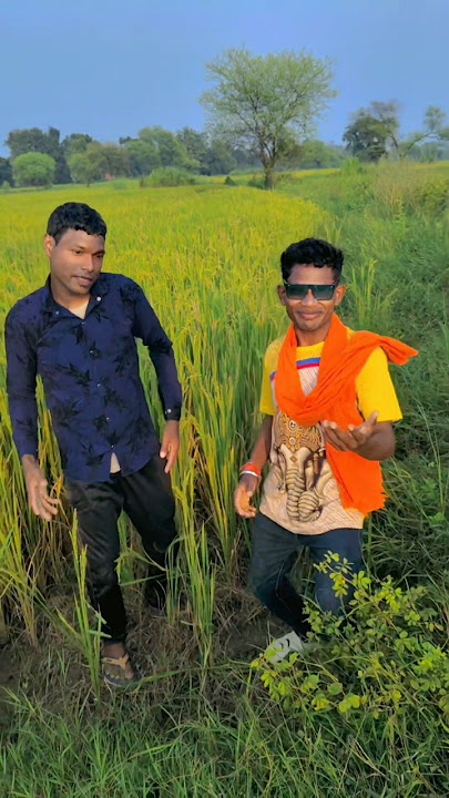 Paan Thela Wala |  Video | Dilip Ray | Kanchan Joshi Cg New Song #avm #cg #cgsong #cgshorts