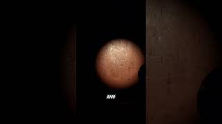 Di Hadang Sundalbolong Di Lorong Kamar Revenge