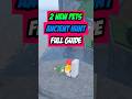 PRE-CLANS UPDATE FULL GUIDE #fisch