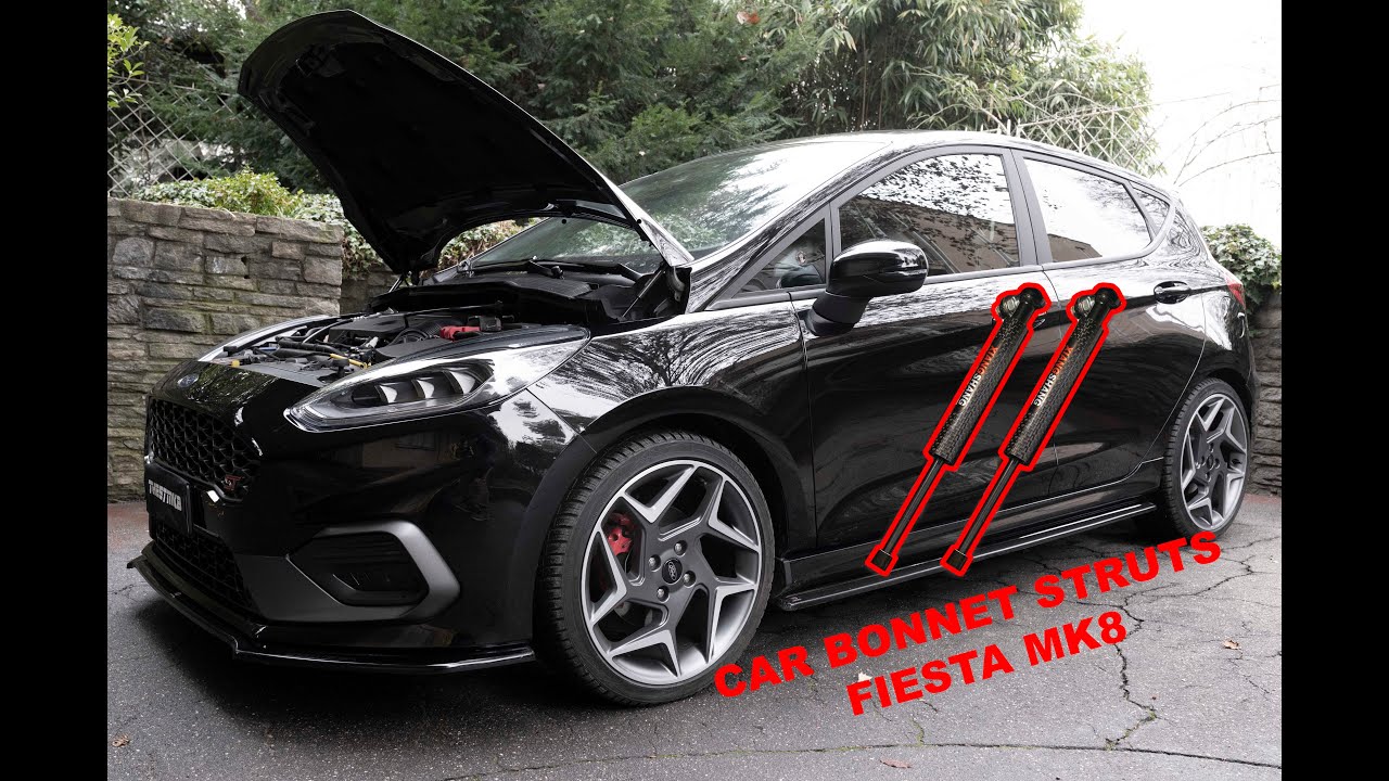 Bonnet Struts (Pistoncini Alza Cofano) Ford Fiesta MK8 - Tutorial Per Il Montaggio
