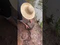 Massive Fishing Net Haul 🎣 Ocean Fishermen Catch Tons of Fresh Fish