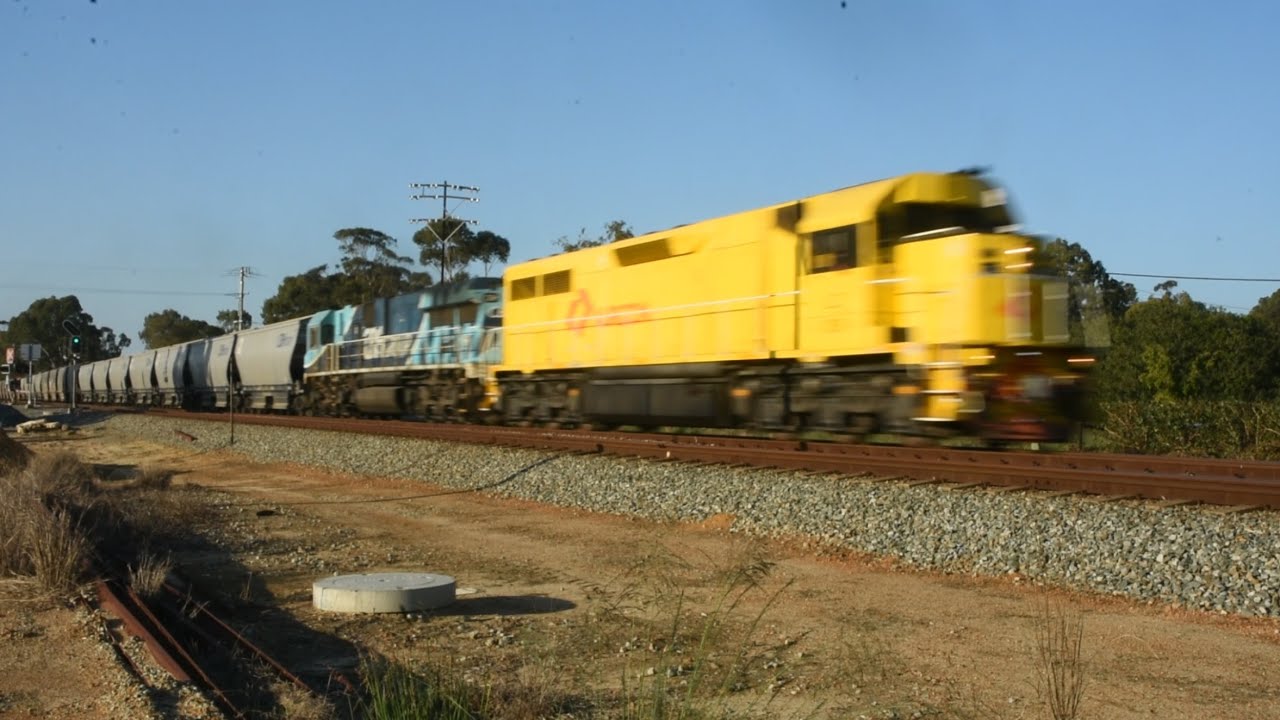 LZ3109 & CBH119 1S56