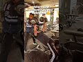 share...//#gym #motivation #gymshort #explore #haryanavi #jattmind @tigerfitnessclub5656