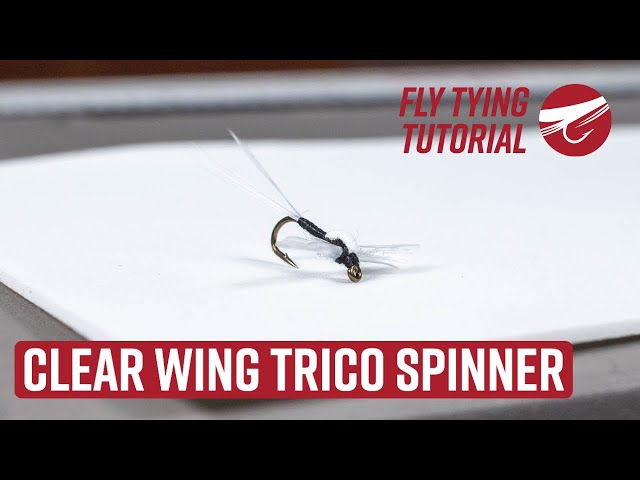Clear Wing Trico Spinner  FLY TYING TUTORIAL 