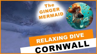 A Relaxing Scuba Dive, Porthkerris, Cornwall - September 2025