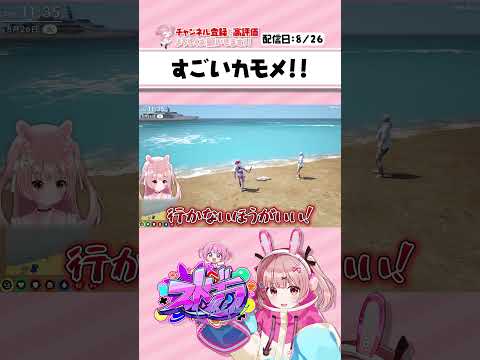 変なカモメに興奮するももみとイロハ┊︎ #ストグラ #Shorts