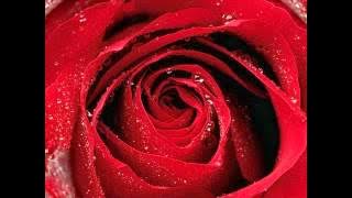 002 - Soorah Al-Baqarah - recited by 'Abdullaahi Abba Zaria