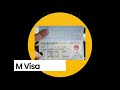 Chinese All Types Visa M Visa Invitation Letter Work Visa mp3
