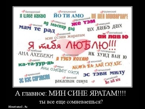 Я тебя люблю на чеченском языке